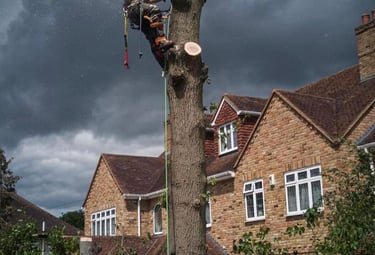 Tree removal using sectional dismantling and controlled lowering
