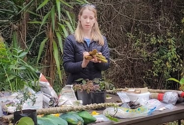 food forest workshop