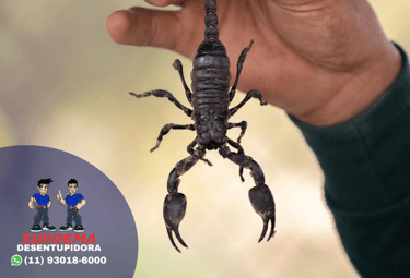controle de escorpiões