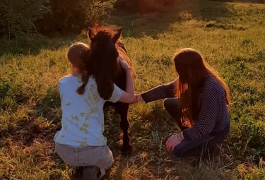 two women are sitting on a hill and hugging a horse at sunset