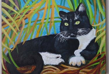 a black cat sitting in the woods