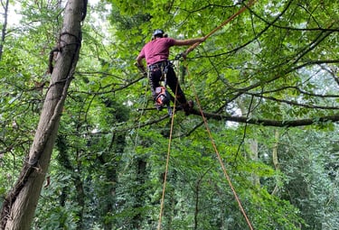 Aerial pruning