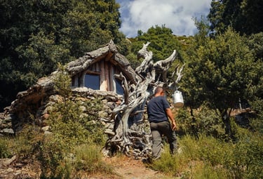 Stone and juniper shelter in Ogliastra, Sardinia, surrounded by Mediterranean nature.