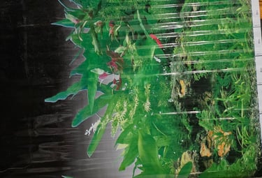 lamina fondo peceras