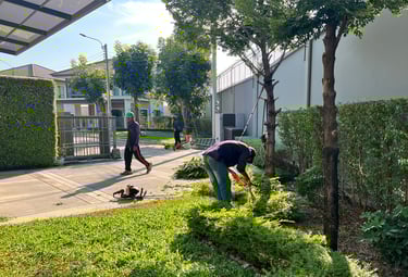 การดูแลรักษาสวน