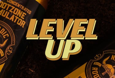 Level up with Nordic Rooter.