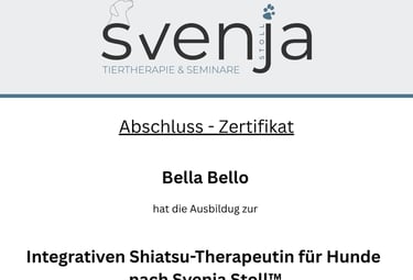 Ein Bild von einem Abschlusszertifikat