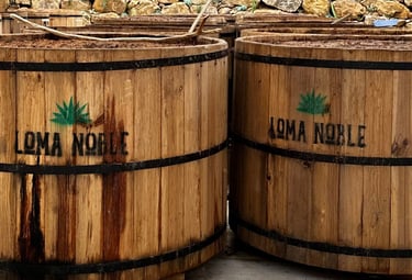 two wooden barrels with a wooden barrel of wine