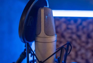 micrófono condensador producción y grabación monochrome records