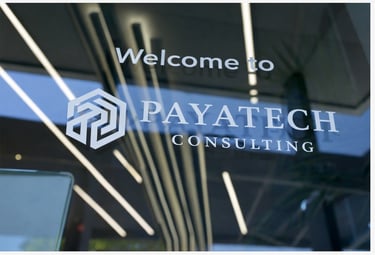 Payatech Consulting, founder Sanaz Ahmadi
