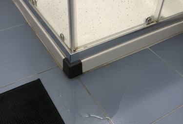 Leaking shower in an Auckland bathroom with water pooling on the floor outside the shower base