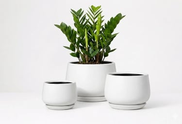 matte ceramic indoor plant pots set of 3 — plants for home decor.