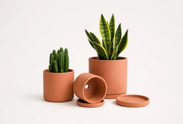 terracotta indoor plant pots unglazed set for interior decor plants.