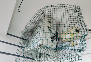 a net netted in a net net with a  pigeon net