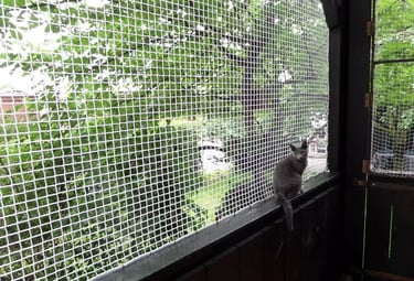 Wide shot of an apartment balcony fully covered with a neat and strong safety net.