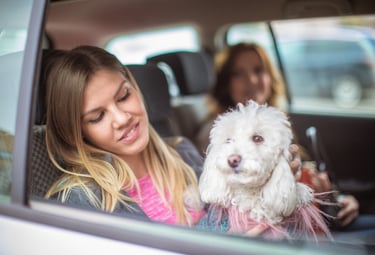 Traslado de Mascotas