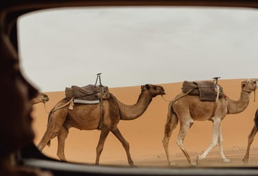 Excursión desde Fez hacia el desierto con paisajes impresionantes