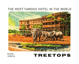 a group of elephants walking through a hotel