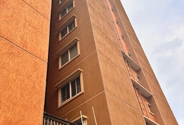 duct area nets installation in nagarbhavi