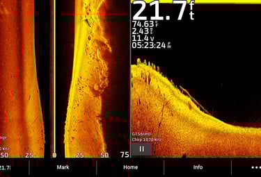 réglages de sonar pour débutants
