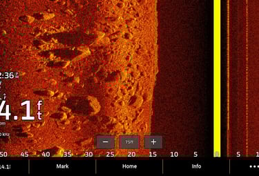 side imaging of rocks and bolders on Garmin sonar