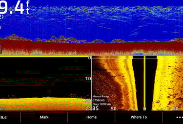 side imaging, 2D CHRIP and down imaging