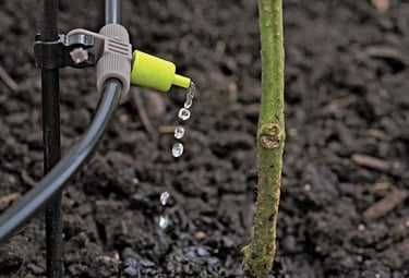 An automatic irrigation system's valve box and water connection installed underground in a garden.