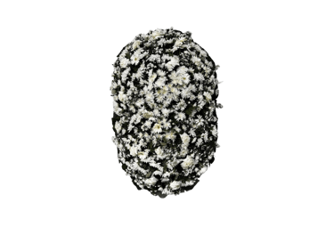 imagem mostra coroa de flores da consolare são paulo