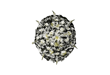 imagem mostra coroa de flores da consolare são paulo