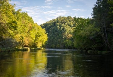 Fly Fish the South Holston River