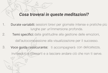 Daily Journal Meditazioni: Cosa troverai - tematiche.