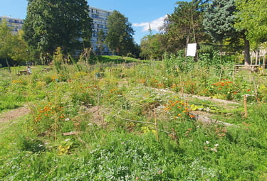 association herbes folles jardinage villejuif Parc Pablo Neruda