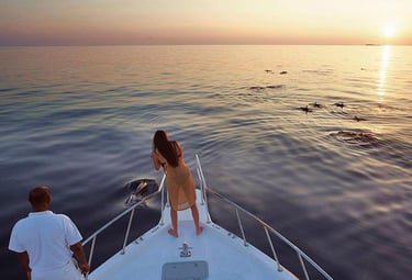 ukulhas dolphin safari pod