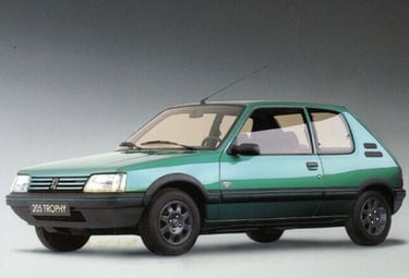 la Peugeot 205 trophy vert fluorite sur la brochure publicitaire