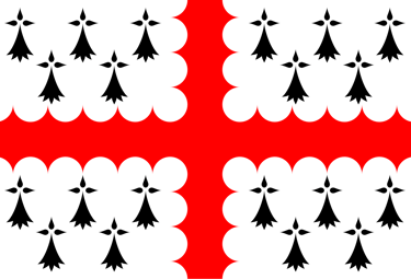 drapeau pays vannetais