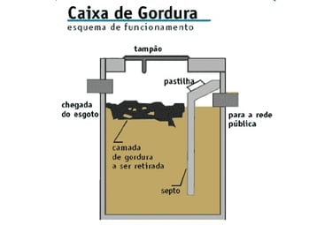 caixa de gordura