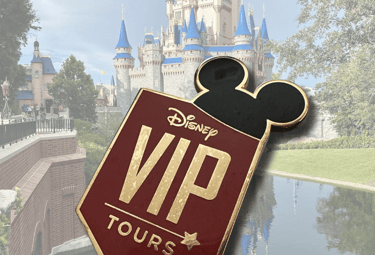 VIP tour in Dinseyland Paris