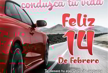Redacción publicitaria y diseño de publicaciones para redes sociales 14 de Febrero Seguros Suman
