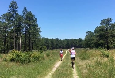 ultra runners on grassy course