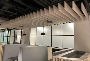 Ceiling acoustic baffles and clouds in retail space