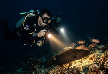 Scuba divers use flashlights for night diving to observe a large moray eel and tropical fish on a coral reef.