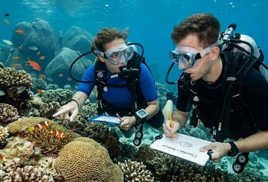 Two scuba divers observing clownfish and coral reefs while recording data on underwater slates.