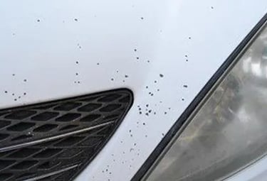 how to protect from rock chips get ppf