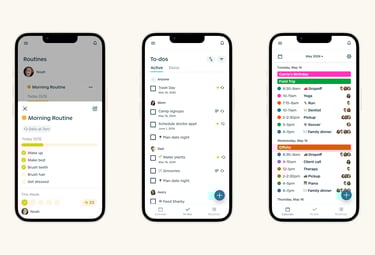 Hearth Companion App, what app does hearth display use? hearth display app for Iphone