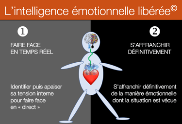 Avec LiberaSoi apprenez à ne plus être sous influence négative de vos émotions
