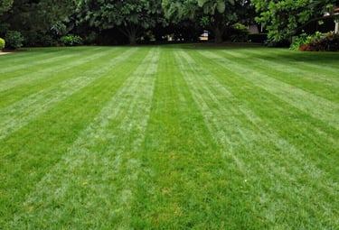 A neatly trimmed hedge lining a peaceful garden path.