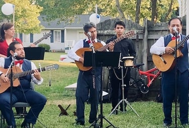 Live music group band playing at a birthday party
