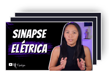 Slides Transmissão sináptica