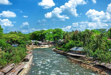 Bukit Lawang 