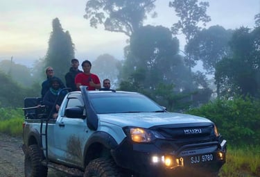 Guided Borneo jungle safari with travelers riding an off-road 4x4 truck through misty rainforest